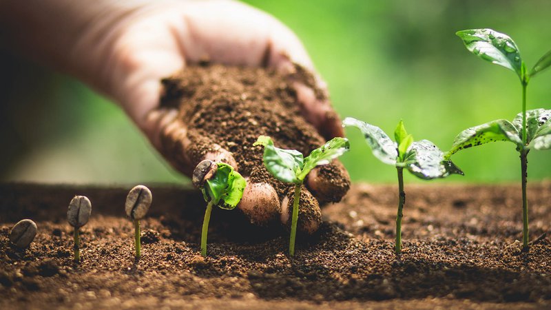 Sowitgrowit getty.jpg