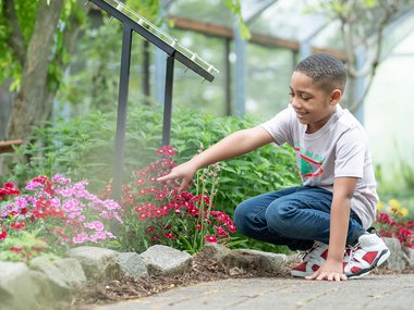 Boy bending down in Butterfly Garden pointing at a flower