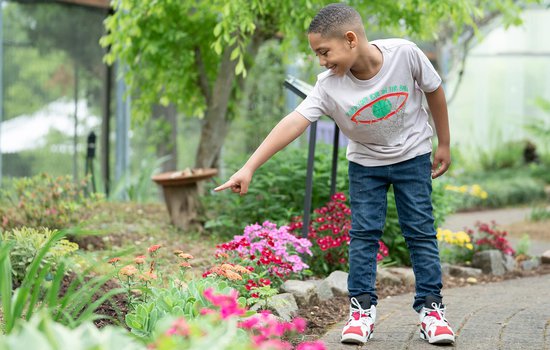Butterflygarden3.jpg