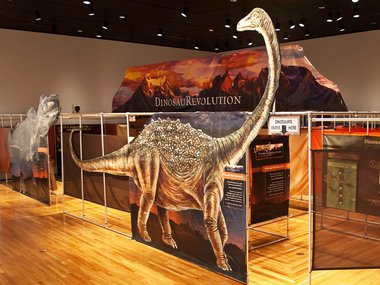 Photograph of the Dinosaur Revolution maze