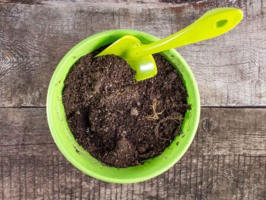 Simplysoil getty.jpg