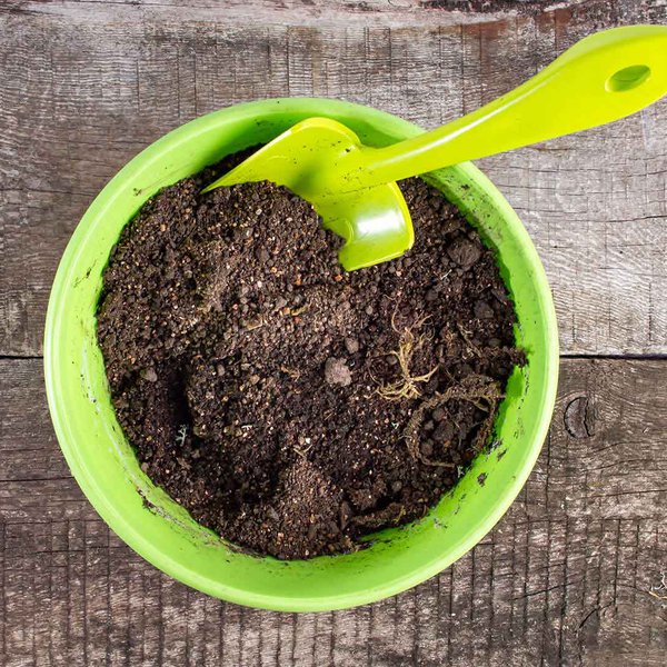 Simplysoil getty.jpg