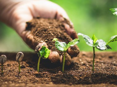 Sowitgrowit getty.jpg