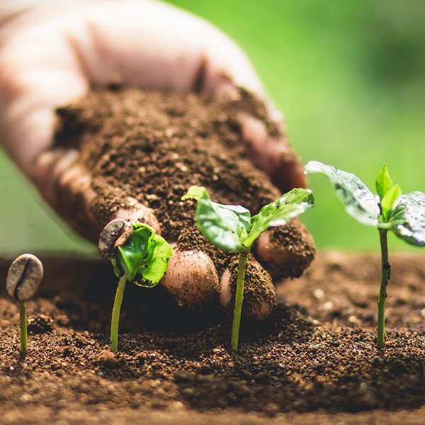 Sowitgrowit getty.jpg