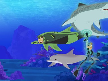 decorative illustration of an underwater scene featuring characters from Wild Kratts wearing diving gear and a dolphin. includes a dolphin and shark