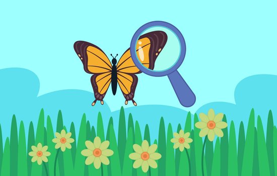 illustration of a butterfly in a grassy meadow with a magnifying glass