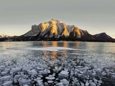 photograph of arctic